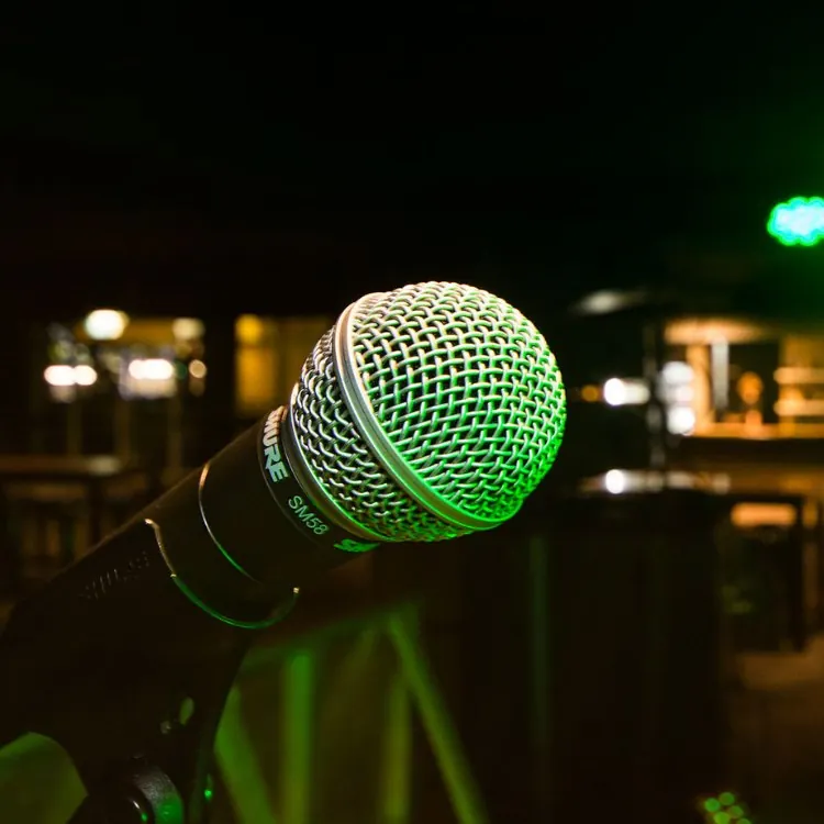 Pelly Bar — microphone and stage